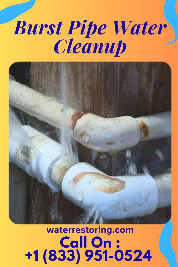 Burst Pipe Water Cleanup in Brownsville, KY