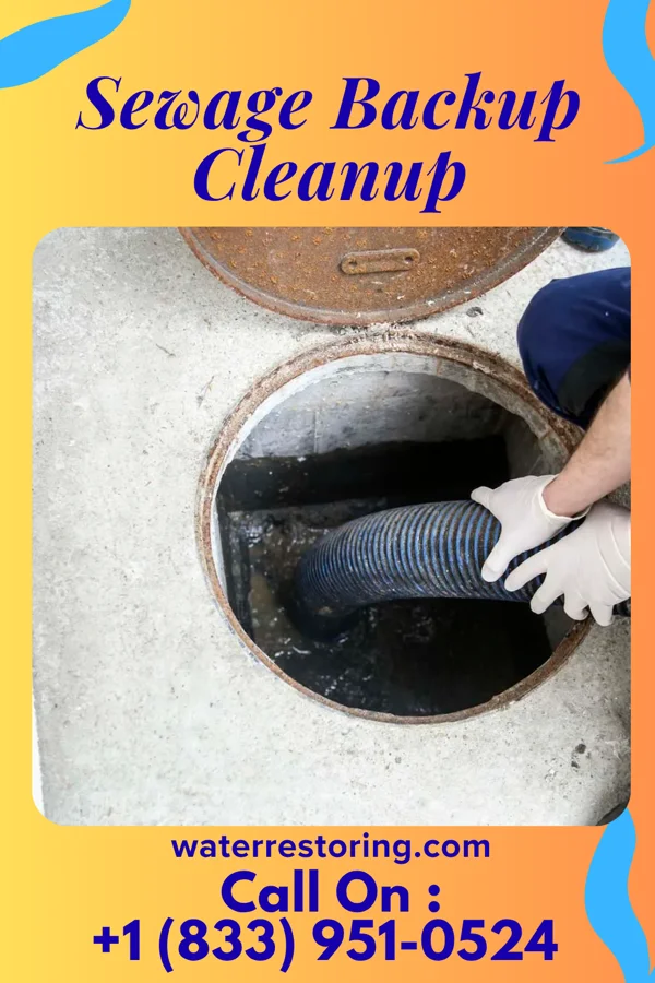 Sewage Backup Cleanup in Brownsville, KY