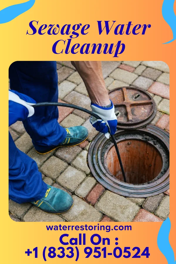 Sewage Water Cleanup in Brownsville, KY
